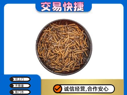 淮南市八公山高价回收散虫草